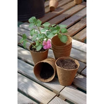 2020753 GROWING POTS tőzegcserép   24 darab/csomag természetes O 6 cm