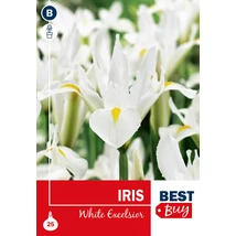 Vh16096 Iris White Excelsior 25db/cs