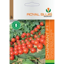 R Paradicsom CHARMANT F1 0,1g