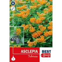 Vh08026 Asclepia Tuberosa 3db/cs