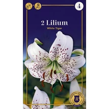 Vh10626 Liliom Supreme White Tiger 2db/cs