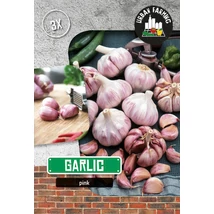 Vh09968 Fokhagyma Lila 3db/cs 40/60