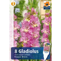 Vh08844 Gladiolus Parrot Happy Disco 8db/cs