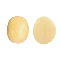 Burgonya Belami 50db-os "E" 25-35mm NL