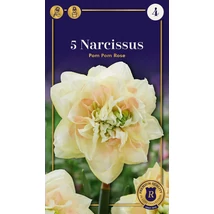 Vh 16993 Narcissus Supreme Double Pompom Rose 5db/cs 12/14
