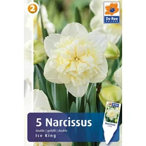 Vh16323 Narcisz Double Ice King 5db/csom