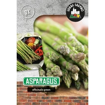 Vh09965 Spárga zöld 2db/cs