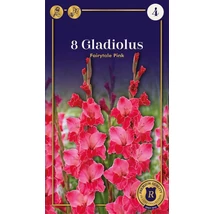 Vh10664 Gladiolus Supreme Largeflowering Fairytale Pink 8db/cs