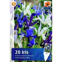 Vh16281 Írisz reticulata mix 20db/cs