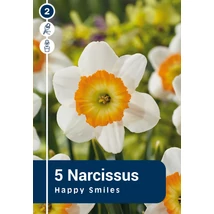 Vh 16384 Narcissus Large cupped Happy Smiles 5db/cs 12/14