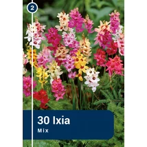 Vh 16423  Ixia Mix 30db/cs 5/+
