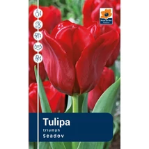 Vh Rackbox Tulipa Triumph Seadov 80db/cs 12/+
