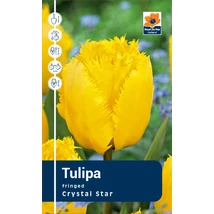 Vh Rackbox Tulipa Fringed Crystal Star 80db/cs 12/+