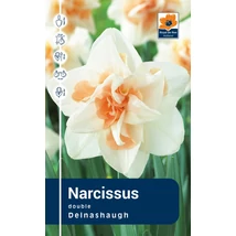 Vh Rackbox Narcissus Double Delnashaugh 40db/cs 12/14