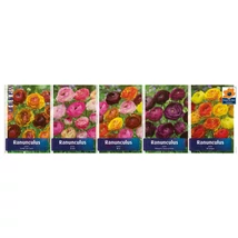 Vh Ranunculus gyűjtő 02 5x100db 8+