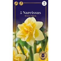 Vh 16568 Narcissus Supreme Double Growers Beauty 5db/cs 12/14