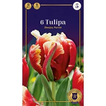 Vh 16595 Tulipa Supreme Parrot Dee Jay 6db/cs 12/+