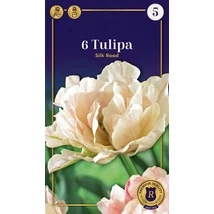 Vh 16525 Tulipa Supreme Double Late Silk Road 6db/cs 12/+