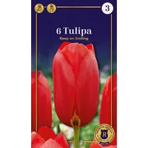 Vh 16914 Tulipa Supreme Single Late Keep on Smiling 6db/cs 12/+