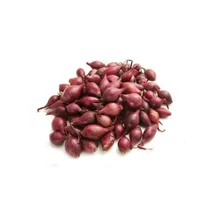 Dughagyma Lila Allium cepa Akado 14-19mm 10kg/zsák