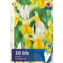 Vh 16417  Iris Hollandica Symphony 20db/cs 8/9