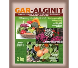 Alginit