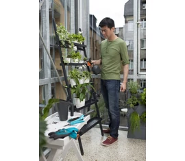 City Gardening