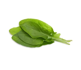 Sóskák