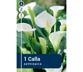 Kála