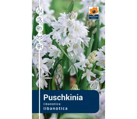 Puskinvirág