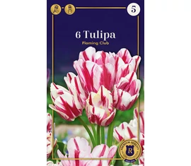 Multiflowering