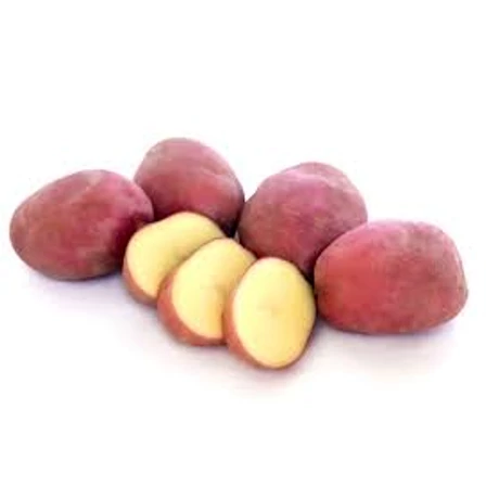 Burgonya Desiree 50db-os 25-35mm FR