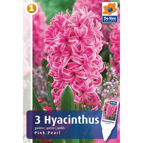 Vh 16212 Hyacinthus Pink Pearl 3db/cs 15/16