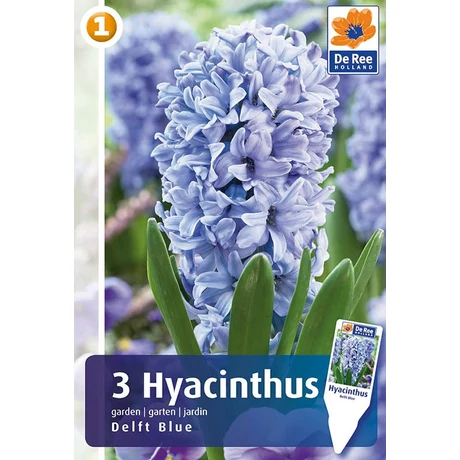 Vh16210 Hyacint Delft Blue 3db/csom