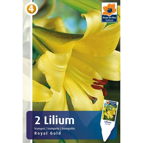 Vh08288 Liliom Trumpet Royal Gold 2db/cs