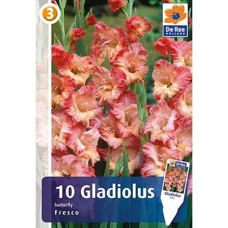 Vh08337 Gladiolus Butterfly Fresco 10db/cs