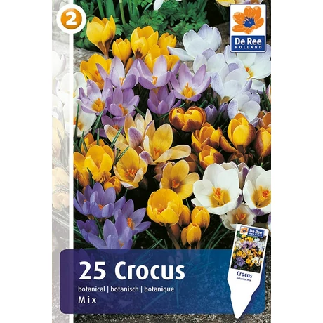 Vh 16354 Crocus Botanical Botanical Mix 25db/cs 5/+