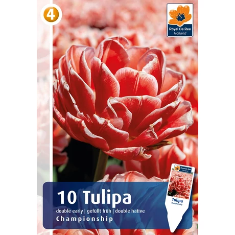 Vh16359 Tulipán Duoble Early Championship 10db/cs
