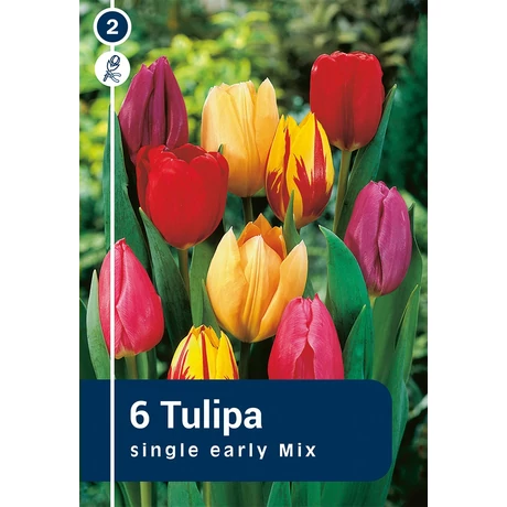 Vh 16221 Tulipa Single early Single Early Mix 6db/cs 11/12