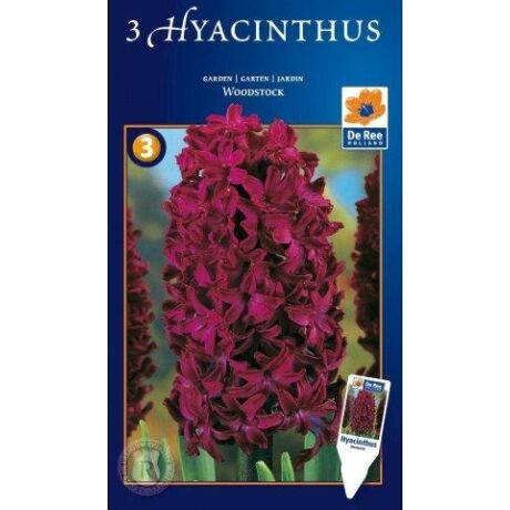 Vh16506 Hyacinthus Supreme Woodstock 3db/cs