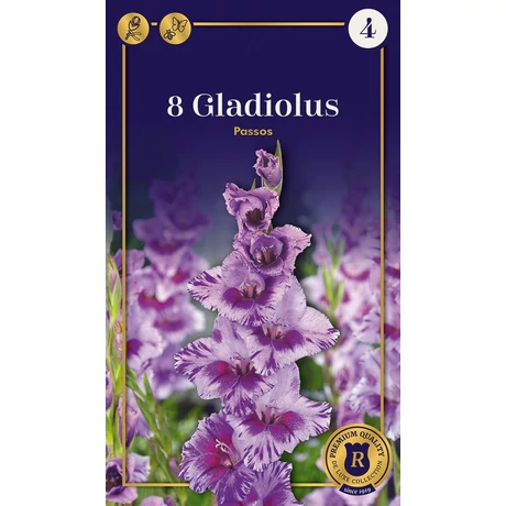 Vh08789 Gladiolus Supreme Largeflowering Passos 8db/cs
