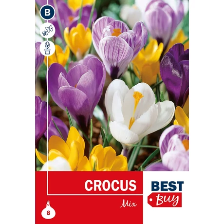 Vh 16015 Crocus largefl. Mix 8db/cs 7/8