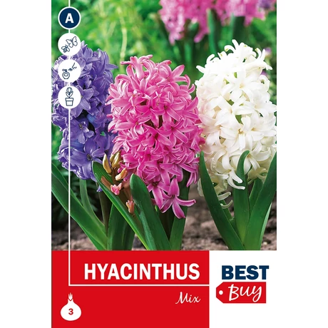 Vh 16018 Hyacinthus Mix 3db/cs 14/15