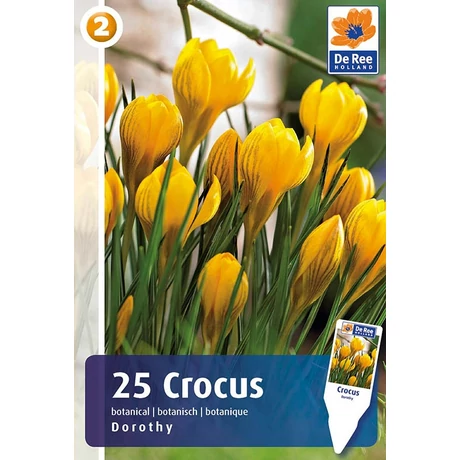 Vh 16350 Crocus Botanical Dorothy 25db/cs 5/+