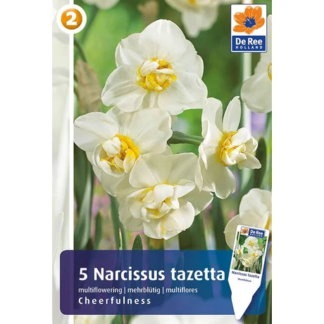 Vh16327 Narcisz Multiflowering Cheerfulness 5db/csom