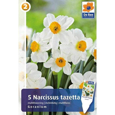 Vh 16328 Narcissus Tazetta Geranium 5db/cs 12/14