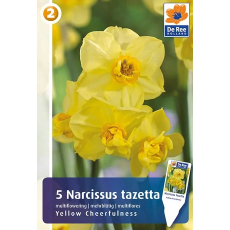 Vh16330 Narcisz Multiflowering Yellow Cheerfulness 5db/csom