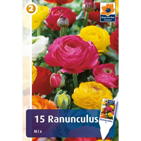 Vh 16431  Ranunculus Mix 15db/cs 6/7