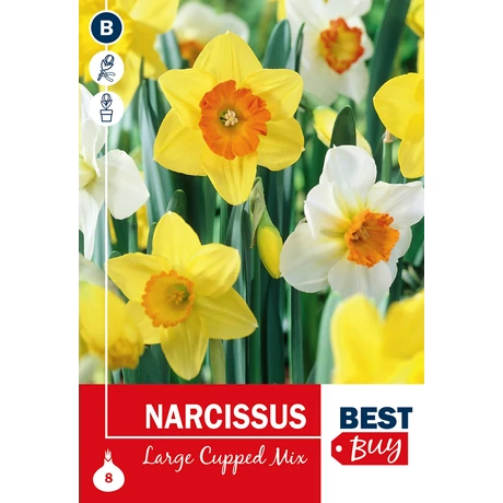 Vh 16088 Narcissus largecupped Mix 8db/cs 10/12