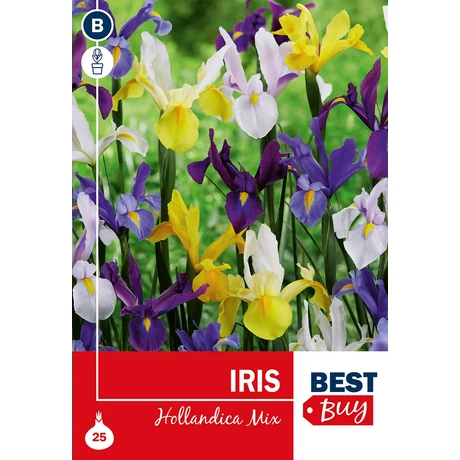 Vh 16019  Iris Holl. Mix 25db/cs 6/7